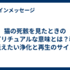 猫の死骸を見たときのスピリチュアルな意味とは？魂が伝えたい浄化と再生のサイン