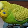 ５月１９日の相場を見てみたよ　チュン