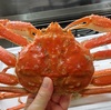 オオズワイガニと白貝とイシダイを料理して食べるよ。