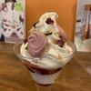 『バラのソフトクリーム』と『常識が通用する政治』