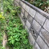 私、頑張った！外回りの作業終了！