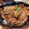 【JALワンスターへの道】帯広（北海道）まで豚丼とカレーを食べに行ってきた！