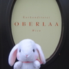 【2016オーストリア旅行記】⑳Oberlaa Stadthaus オーバーラー★★★☆