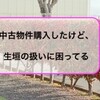 しがない専業主婦は庭の生垣を切りたい