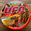 こんなんあり？困難あり？UFO小遣いチャレンジマニュアル2024