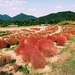 ０歳児を連れて温泉旅行ー行程編その2ー