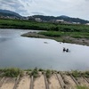 河鵜にも河鵜の矜持ありにけり(あ）