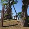 田舎館村　田舎館城の歴史と史跡をご紹介！🏯