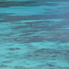 透明度世界トップ級！ケラマブルーの海を味わえる離島「渡嘉敷島」
