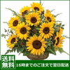 敬老の日にお花をプレゼントするには楽天がお勧めな理由は？