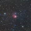 ＮＧＣ１９３１