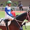 暑さを辛抱して仕上がり上々。２度目の新潟・千直で慣れを見込んでの前進を期待したいも、これまで時計面で限界を感じるところがあった馬なので、開幕週の馬場＋斤量増＋相手強化のここではさすがに厳しいかも。先行してどこまで粘り・辛抱できるのかが問われる１戦。★ロードエース