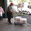 出張販売　海田町役場販売　雨上がりのバラとキキョウ