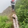 つながる花道