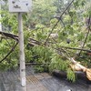 台風22号山竹at深圳