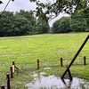 雨が降った