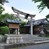 惣社神社の藤（草津市）