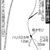 日刊スポーツ「G杯争奪全日本ヘラブナ釣り選手権」