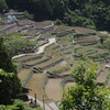 田植えの頃　　　棚田