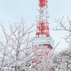 子連れお出かけ芝公園、増上寺【2021桜振り返り】