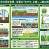 7月の芝生の手入れ 真夏の適切な「水やり法」と「殺虫剤」の選び方ほか
