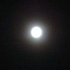 Ｆｕｌｌ　Ｍｏｏｎ　・・・♂