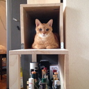 僕のソーセージを食べてくれないか