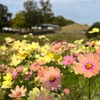 まんのう公園を満喫！！