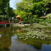須藤公園の池