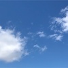 優しい気持ちになれます✨