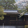南禅寺別荘群あたりの桜