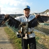 フライロッダーズ夏号に「カワウ問題」の原稿を掲載しました。