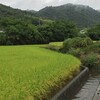 田舎の香り