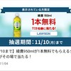 熊がいない九州をもっとアピールしましょう！