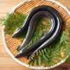 うなぎの食べ方──伝統と進化が織りなす美味の世界