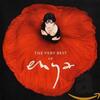 Enya "Orinoco Flow" (1988)