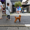 吉原の祇園祭