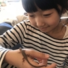 (娘の)カナヘビの飼育記録pt4(奇跡の復帰)