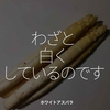 1655食目「わざと白くしているのです」ホワイトアスパラ