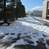 雪の駐車場