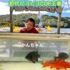 10/7(土)初開催！ピヨピヨCUP❗️三河湖ワカサギ情報🐟