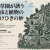 食草園が誘う昆虫と植物のかけひきの妙