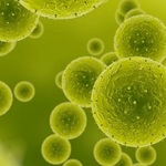 科学的に裏付けられた花粉症対策：症状を抑える方法　花粉の仕組みと花粉症のメカニズムを数式で解説