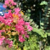 長かった１週間も終わり