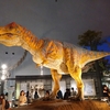 世界三大恐竜博物館2019-2020年末年始旅行IN福井