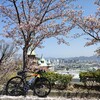 手柄山へお花見ライド　