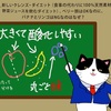 クレンズダイエット