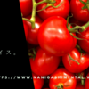 あぁ、オムライス。