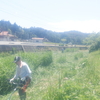 道路・河川の草刈り
