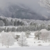 ⛄菅平高原の美しい雪景色